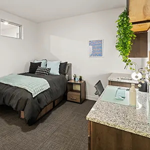 Student 3 Bedroom Apartments