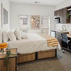 Student 3 Bedroom Apartments