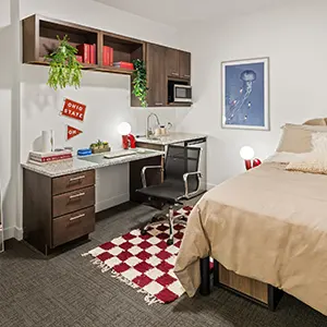 Student 3 Bedroom Apartments